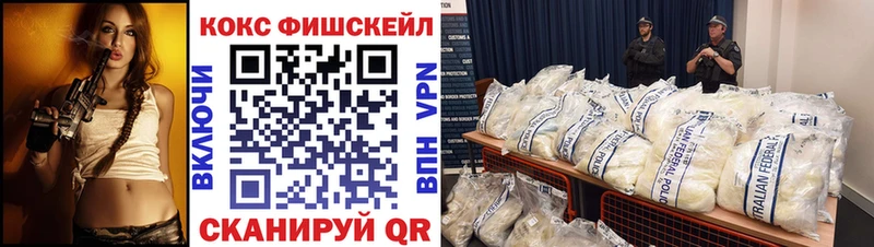 Купить закладки  Переславль-Залесский  Cocaine FishScale 