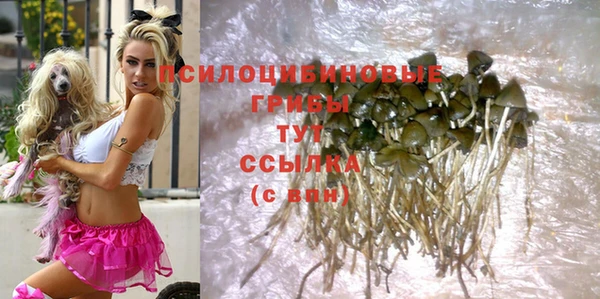Альфа ПВП Козловка