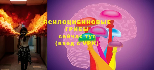 mix Козельск